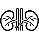 Nephrology & Urology